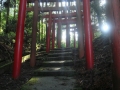 Koyasan